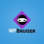 WP Bruiser